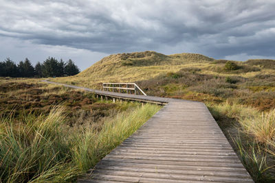 Panoramic image of the coastal landscape of amrum, north sea, germany