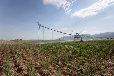 Wind turbines on field