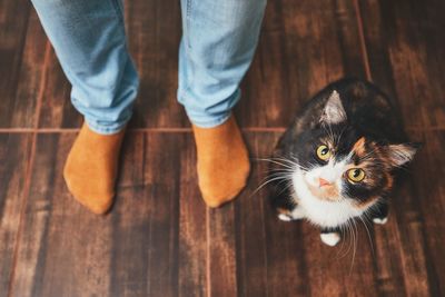 Low section of man standing on hardwood floor
