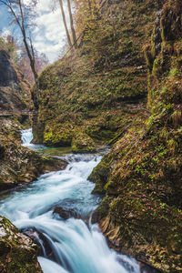 Stream flowing through rocks in forest