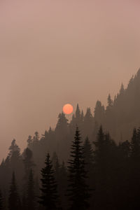 Silhouette trees by mountains against sky during sunset