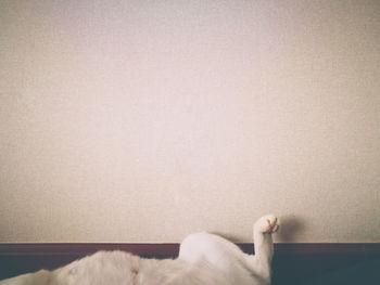 Low section of person lying on floor