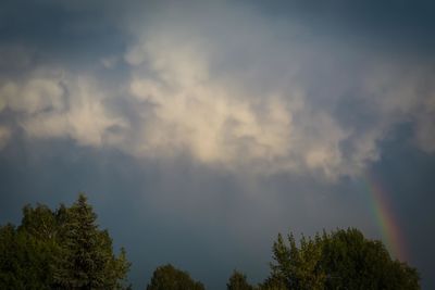 Low angle view of trees against rainbow in sky