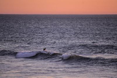 Distant view of man surfing in sea during sunset