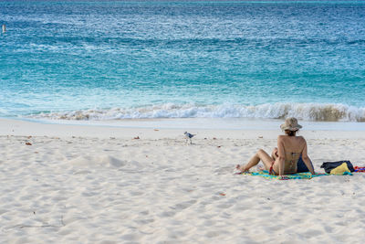 Scenic view of beach