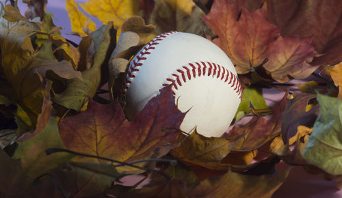 Close-up of damaged baseball ball on field