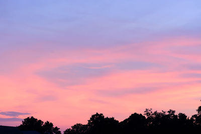 Low angle view of silhouette trees against sky during sunset