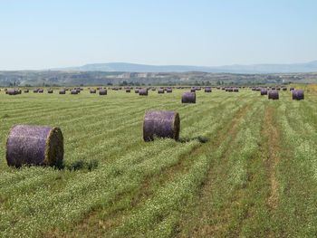 Hay bales on landscape against clear sky