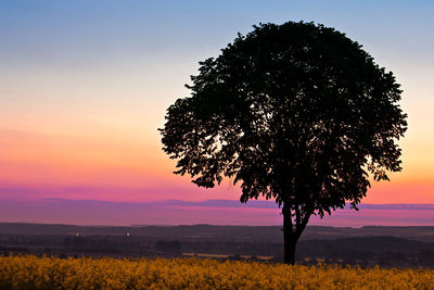 Silhouette tree on field against sky during sunset