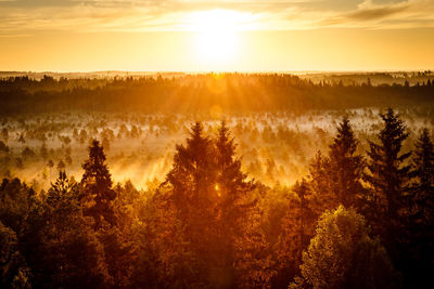 Scenic view of sunset over field