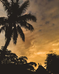 Low angle view of silhouette palm trees against sky during sunset