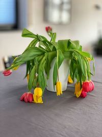 Close-up of red tulip on table