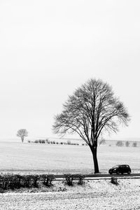 Bare tree on field against clear sky during winter