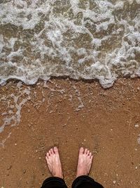 Low section of person standing on beach