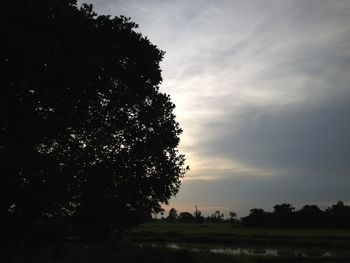 Silhouette trees on field against sky at sunset