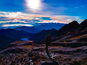 Rear view of person on rock against sky