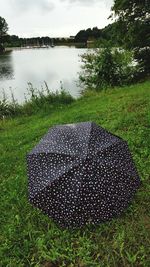 Scenic view of grassy field against sky