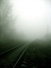 Railroad tracks amidst plants during foggy weather