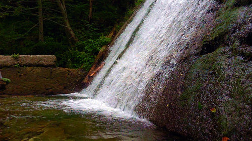 Scenic view of waterfall in forest