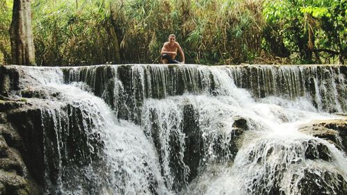 View of waterfall in forest