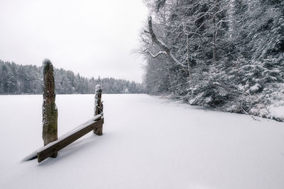 Snow covered land and trees against sky