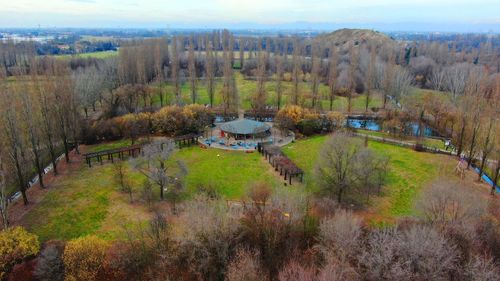 High angle view of trees on landscape against sky