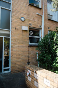 Potted plant on wall of building