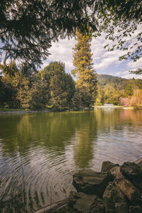 Scenic view of lake in forest against sky