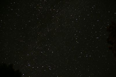 Star field against sky at night