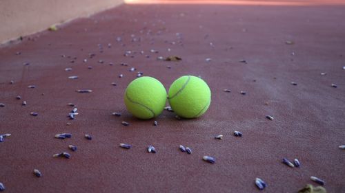 High angle view of green ball on sand