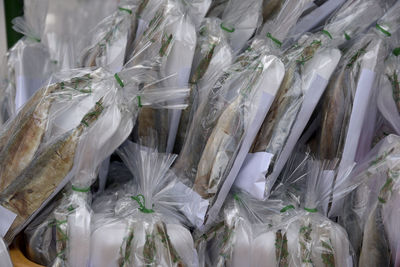 Seafood wrapped in plastics for sale