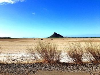 Scenic view of desert against clear blue sky