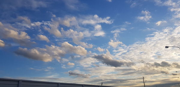 Low angle view of bird flying in sky