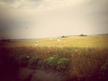 Scenic view of field against sky