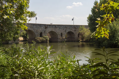 Arch bridge over river