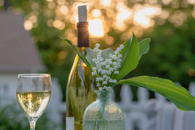 Close-up of wineglass on glass of flowering plant