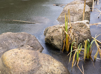 Close-up of rocks on beach