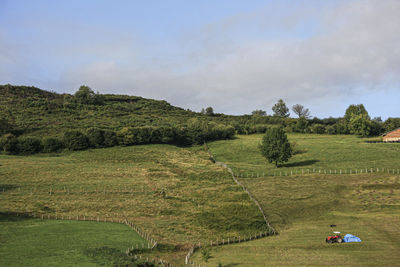 Scenic view of agricultural field against sky