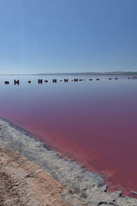 Scenic view of pink lake against sky during sunset