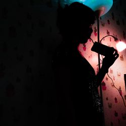 Rear view of silhouette people standing in illuminated dark