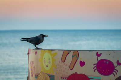 Bird perching on shore against sea