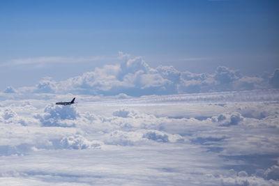 Airplane flying in sky