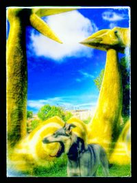 Close-up of yellow horse against sky