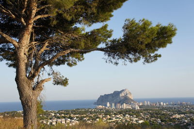 Trees by sea against sky