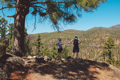Rear view of people walking on mountain in forest
