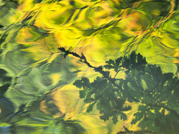 Full frame shot of yellow water