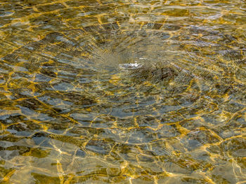 Full frame shot of water