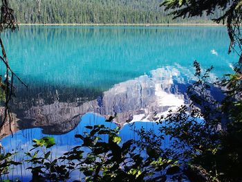 Scenic view of lake and trees