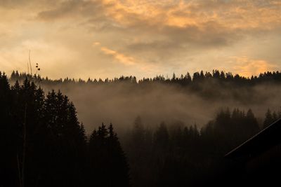 Silhouette trees in forest against sky during sunset