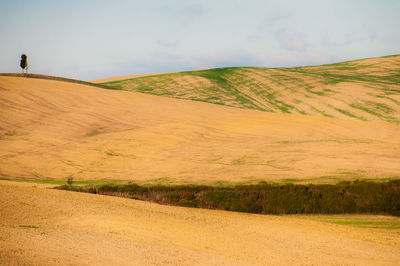 Scenic view of field against cloudy sky